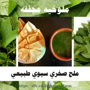 ملوخيه مجففه – 150 جرام